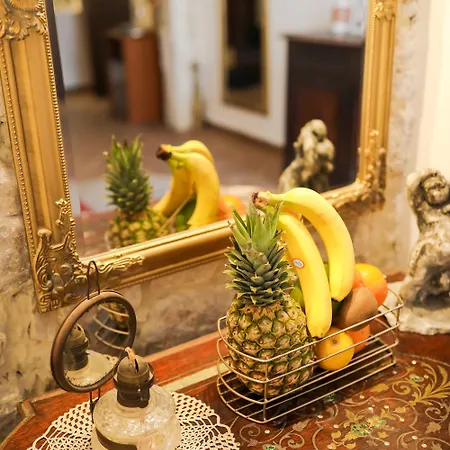 게스트하우스 럭셔리 룸스 콘테사 비탈리 자다르